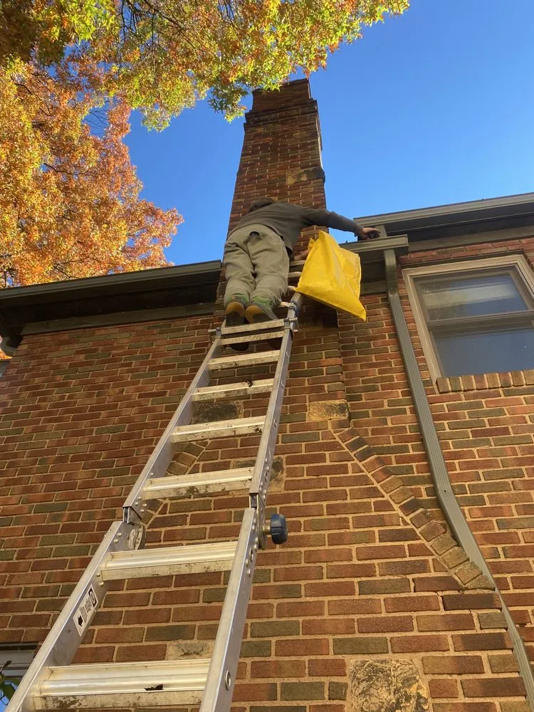 Slide of Brightscape Enterprises