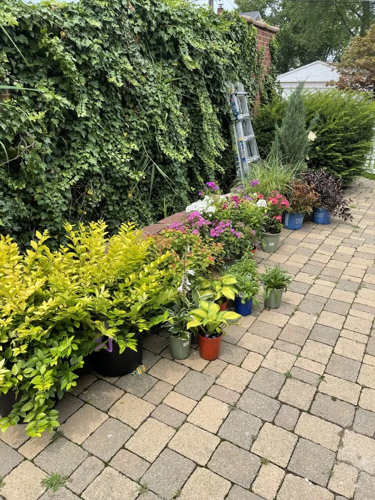 Slide of Brightscape Enterprises