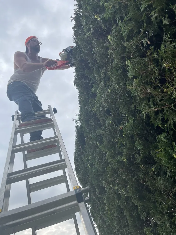 Slide of Brightscape Enterprises