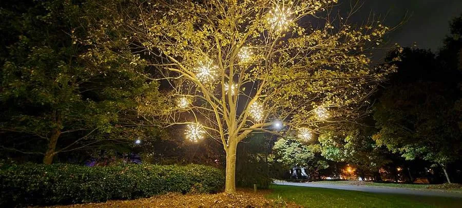 Slide of Brilliant Exterior Services