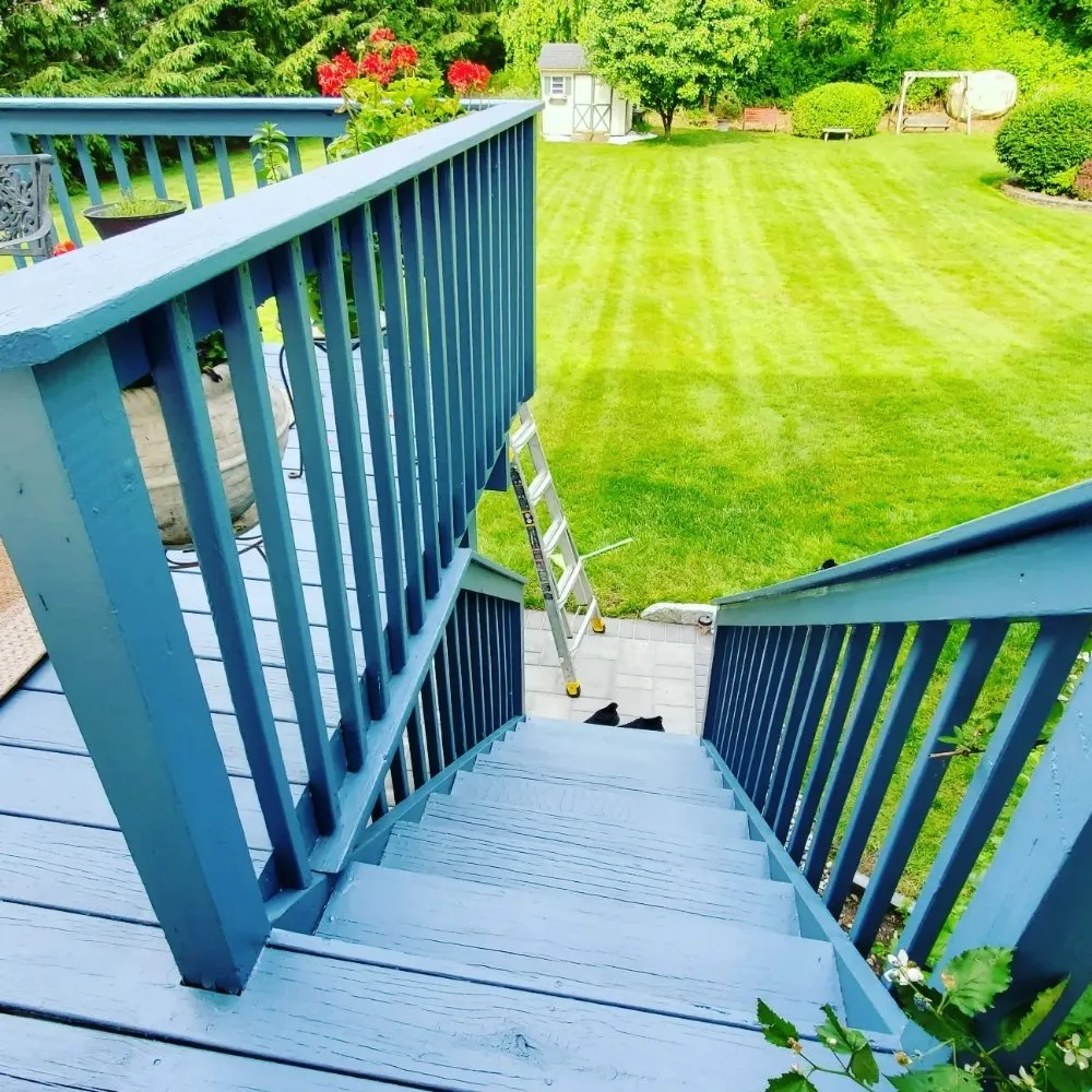 Slide of Brilliant Renovation