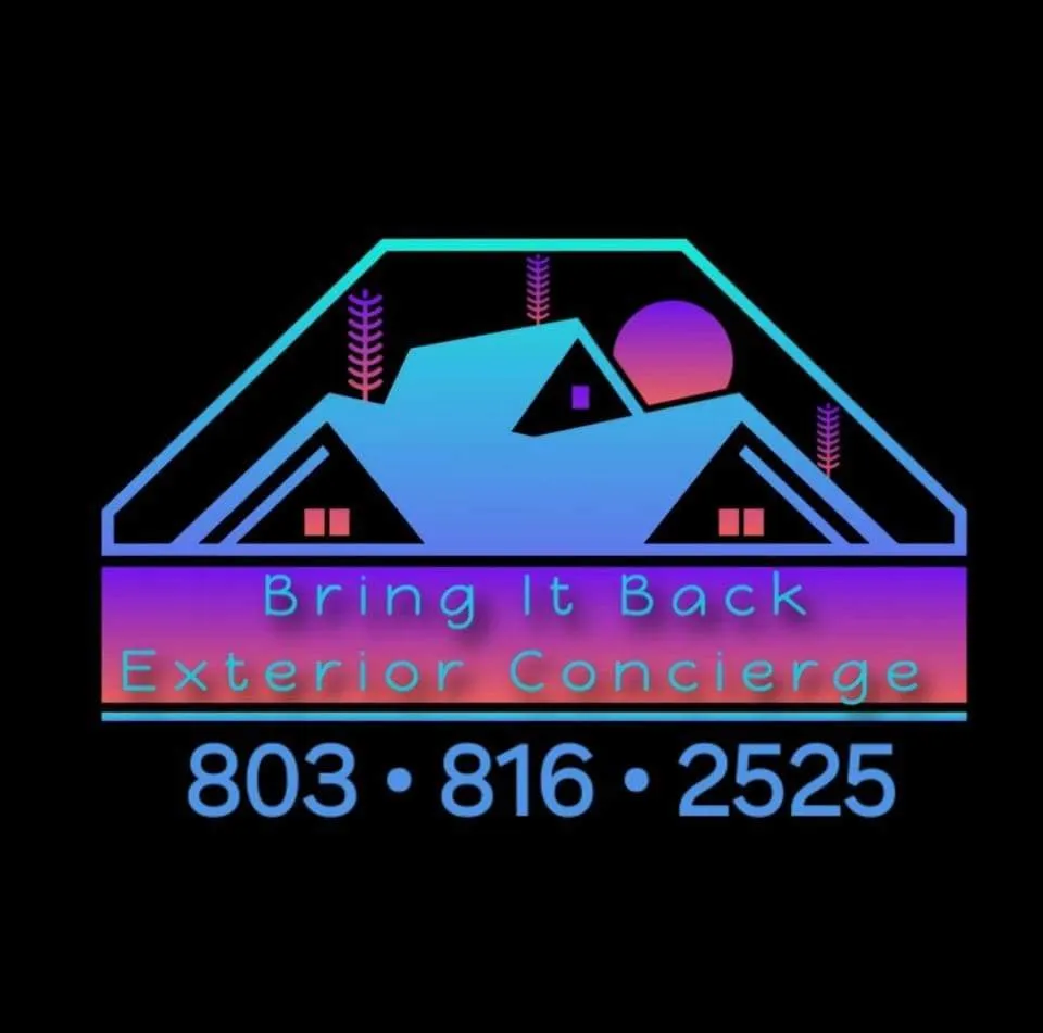 Emergency flat roof repair experts serving Little Mountain, SC - Bring It Back Exterior Concierge