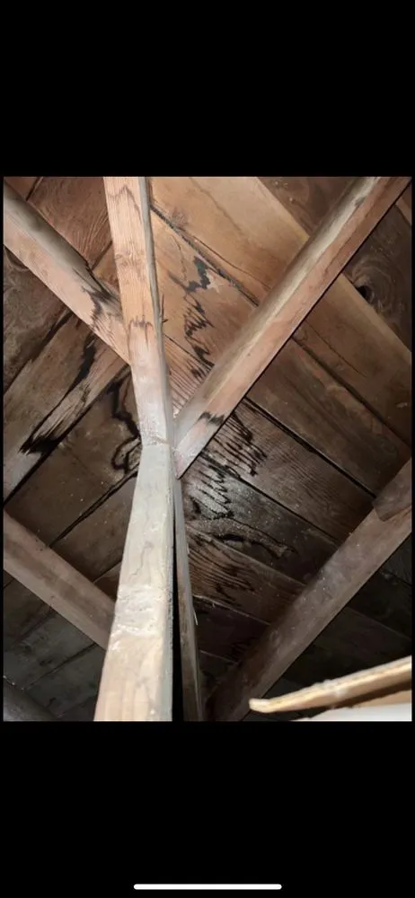Reliable metal roofing installation experts serving San Fernando Valley, CA - Brizuela's Roofing Systems