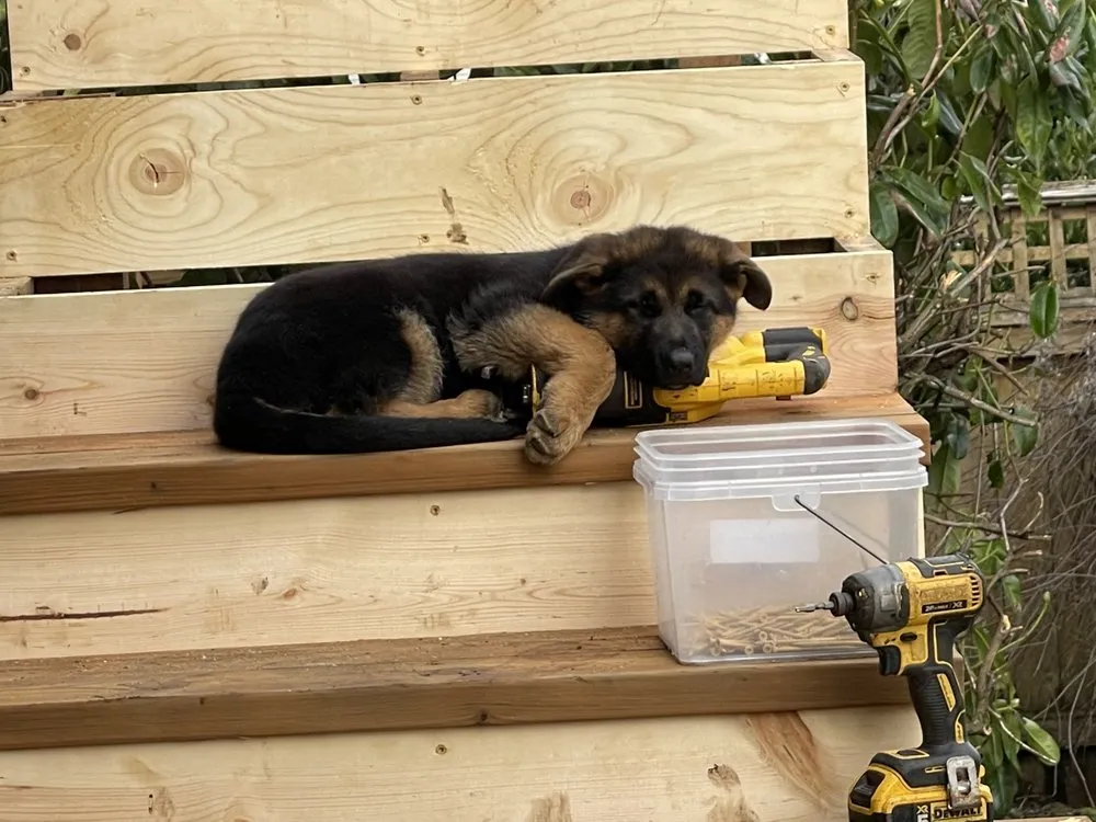 Slide of Brock's Exterior Services