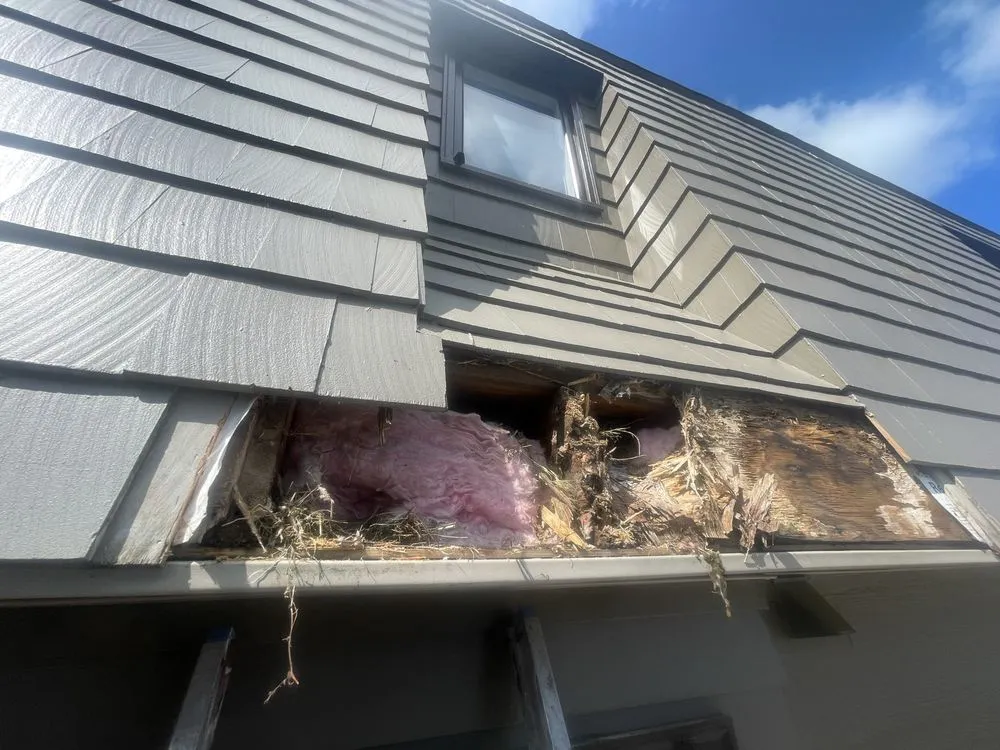 Slide of Brothers Repairs