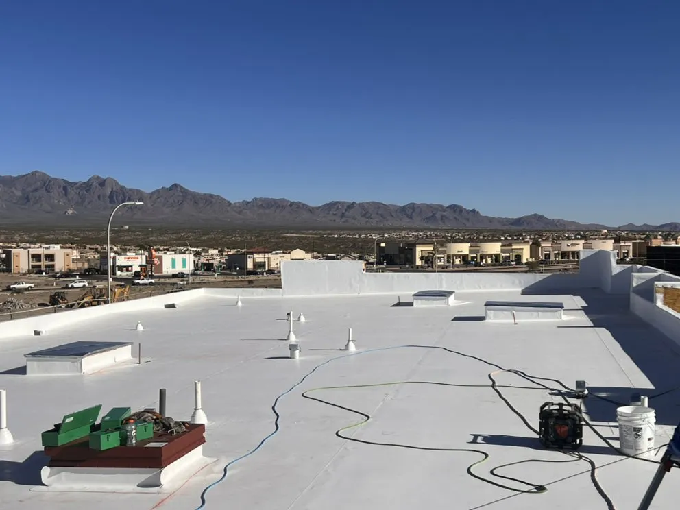 Slide of Brothers Reyes And Cossio