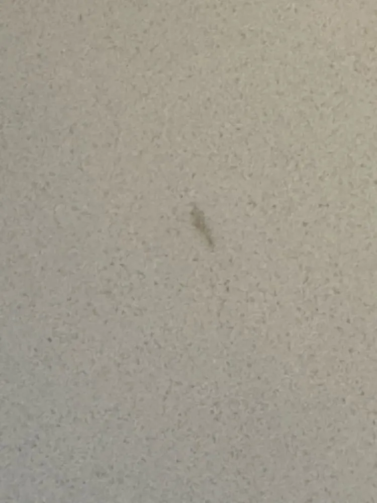 Slide of Brothers Services Company