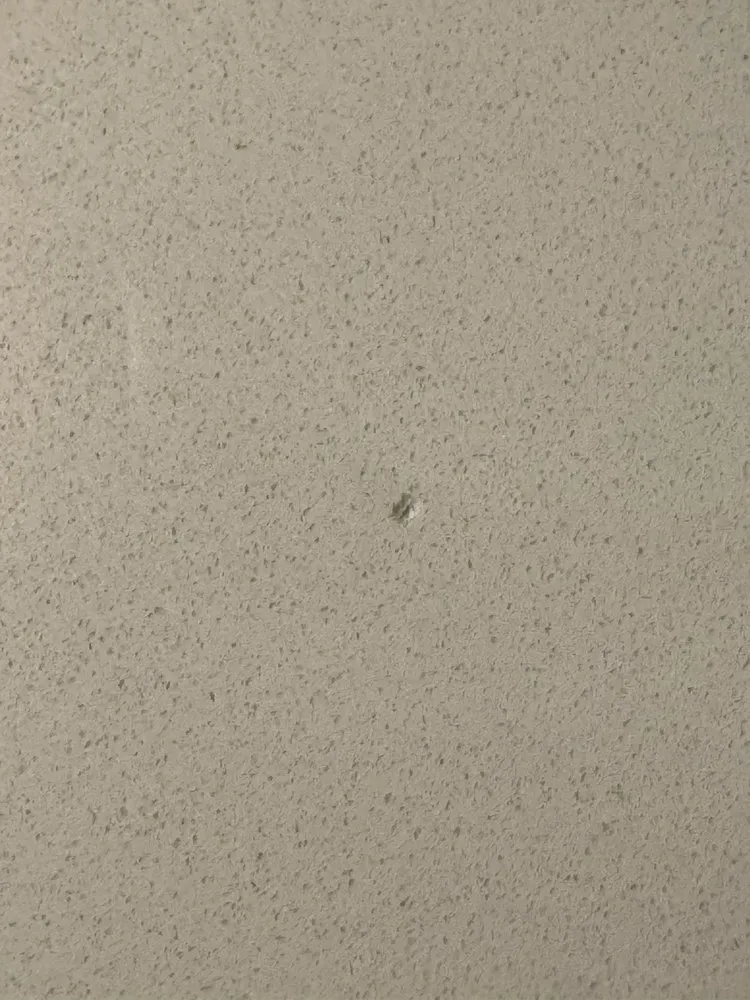 Slide of Brothers Services Company