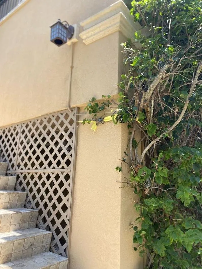 Slide of Brower Pressure Washing