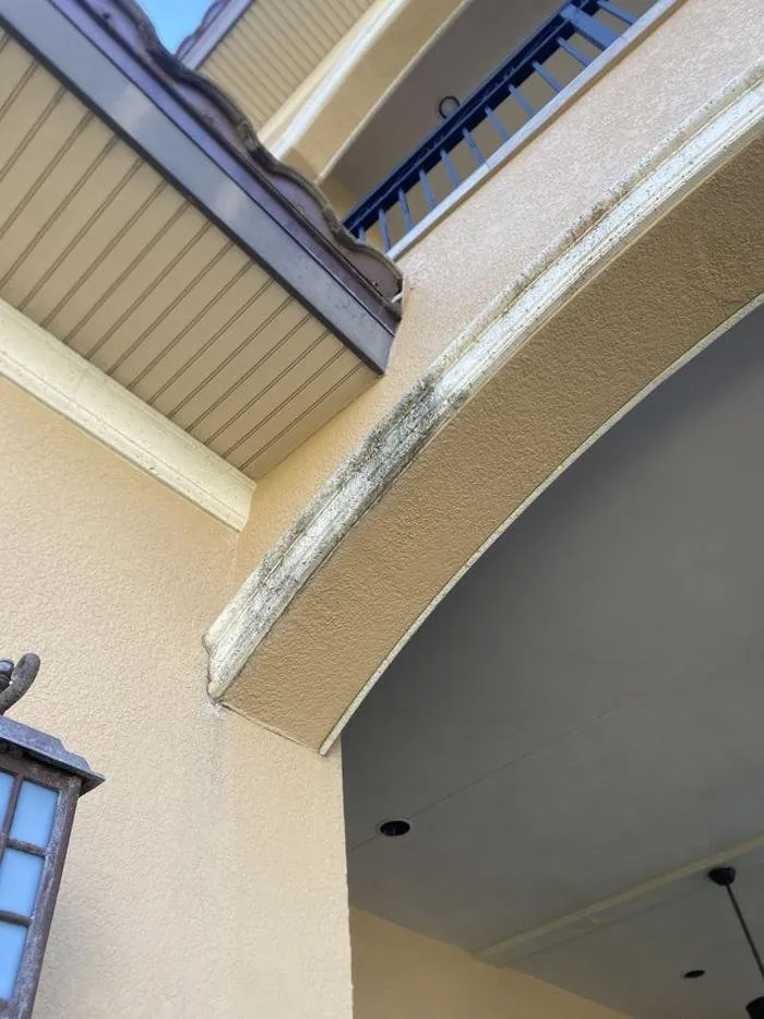 Slide of Brower Pressure Washing