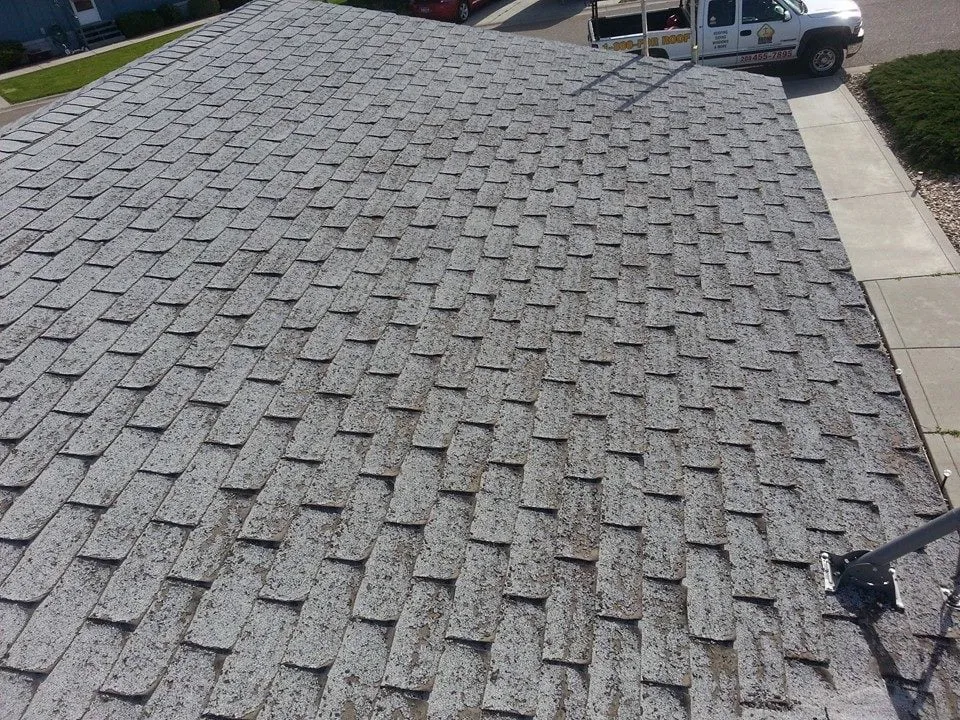 Slide of Brown & Sons