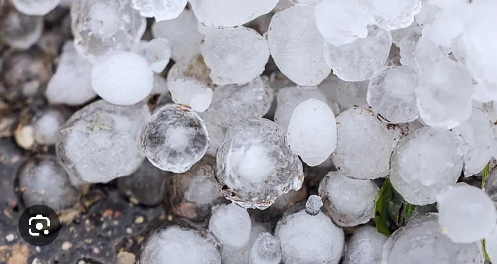 Slide of Brown Construction