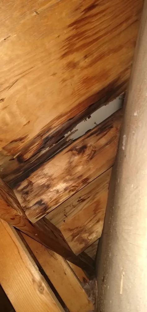 Slide of Brown Dale Roofing