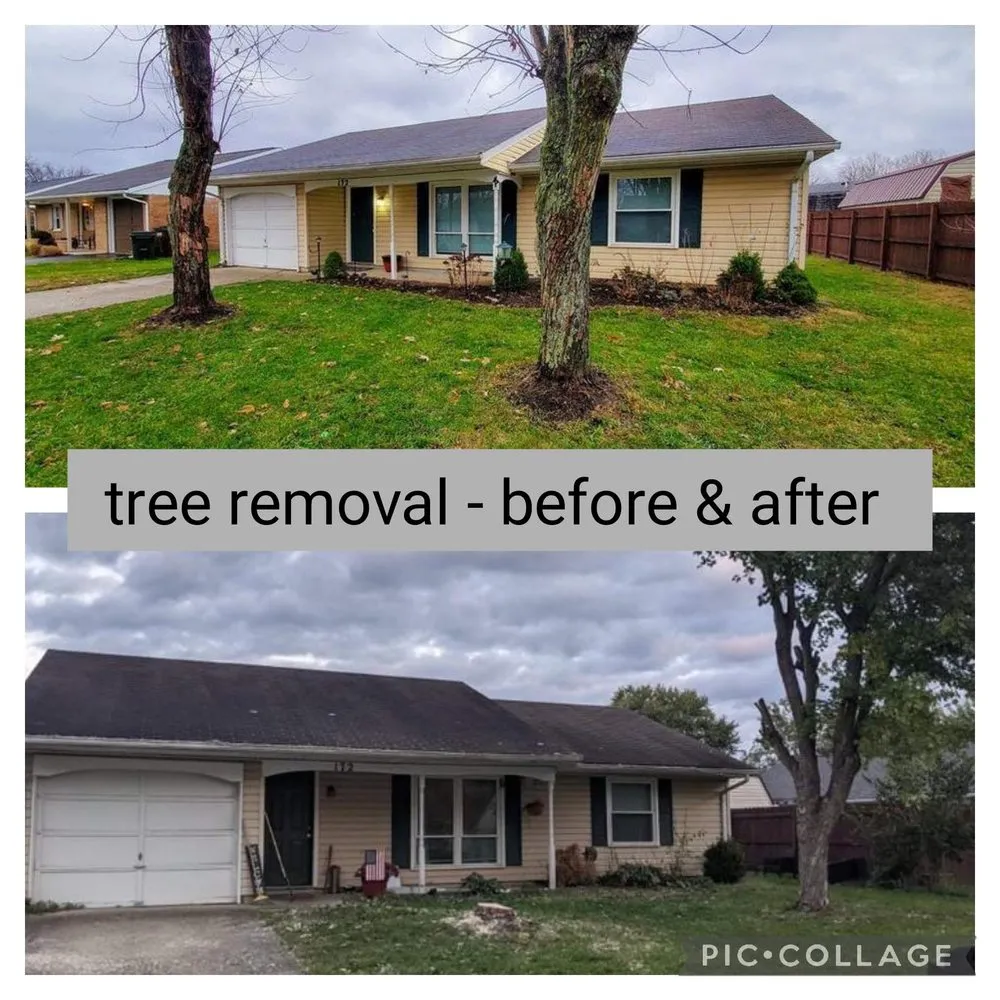 Slide of Brown Residential