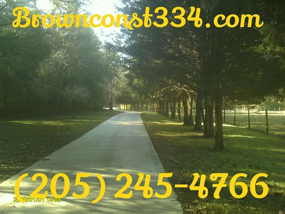 Slide of Brownconst334