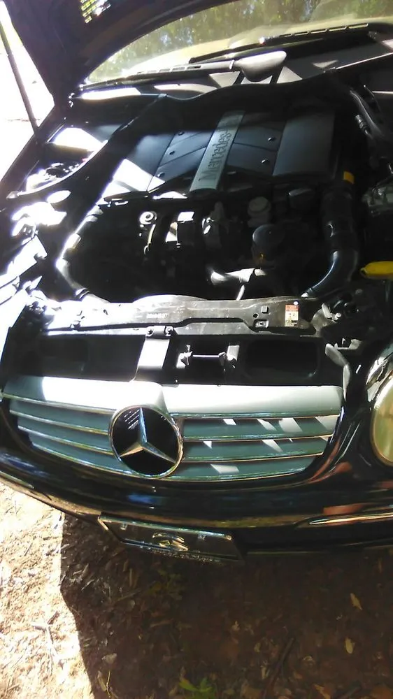 Slide of Brown's Maintenance