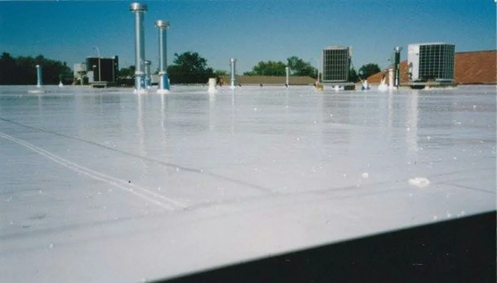 Slide of Bruce W. Johnson