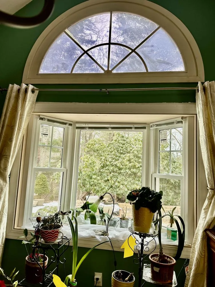 Slide of Bruin Remodeling Group