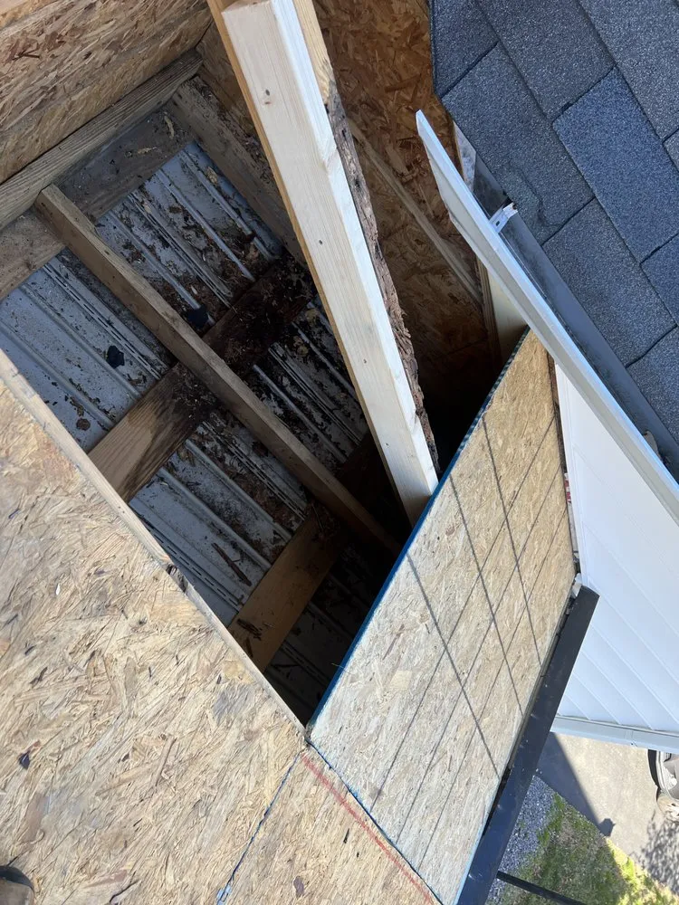 Slide of Bryan Roofer