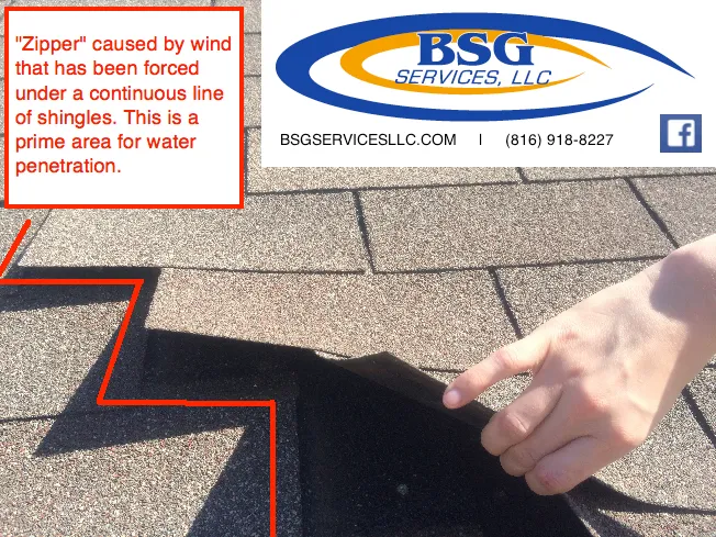 Slide of BSG Services