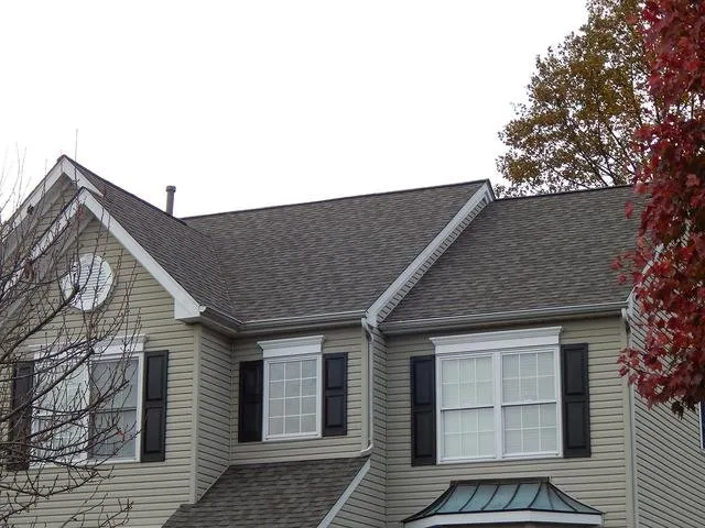 Slide of BSG Services