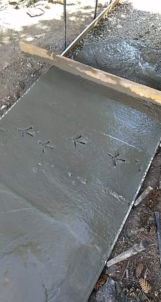 Slide of BTE Construction Division