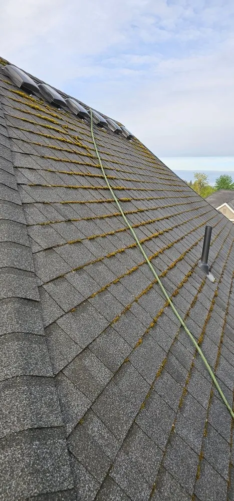 Slide of Bubbles Gutter Cleaning