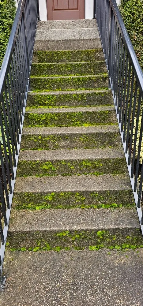 Slide of Bubbles Gutter Cleaning