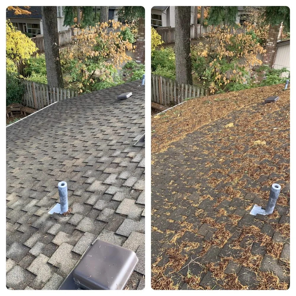 Slide of Bubbles Gutter Cleaning