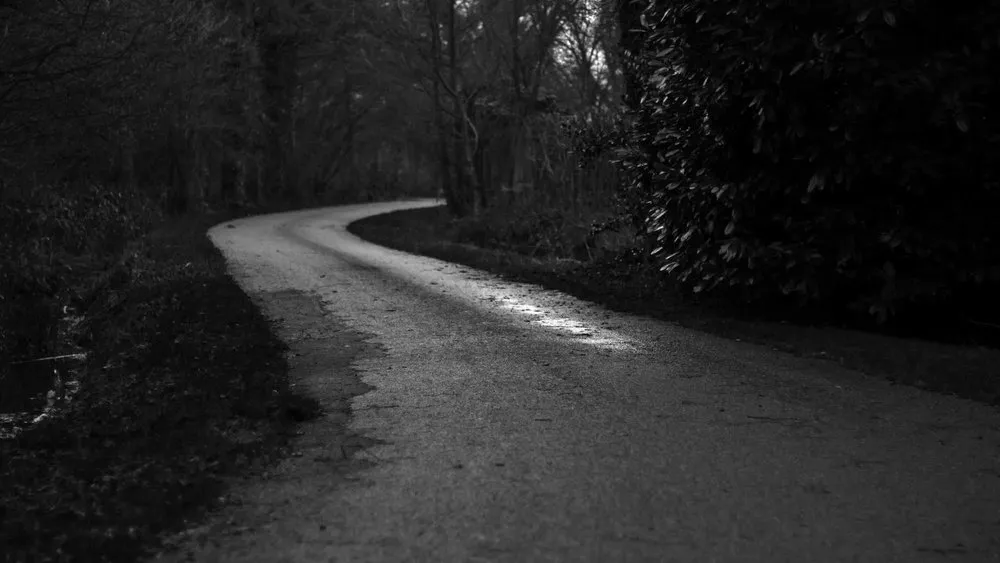 Slide of Buccos Roofing