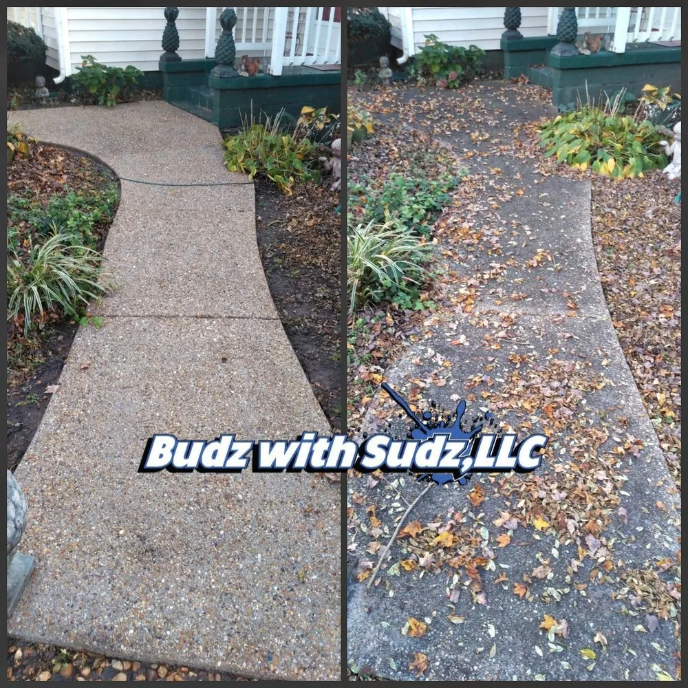 Slide of Budz with Sudz