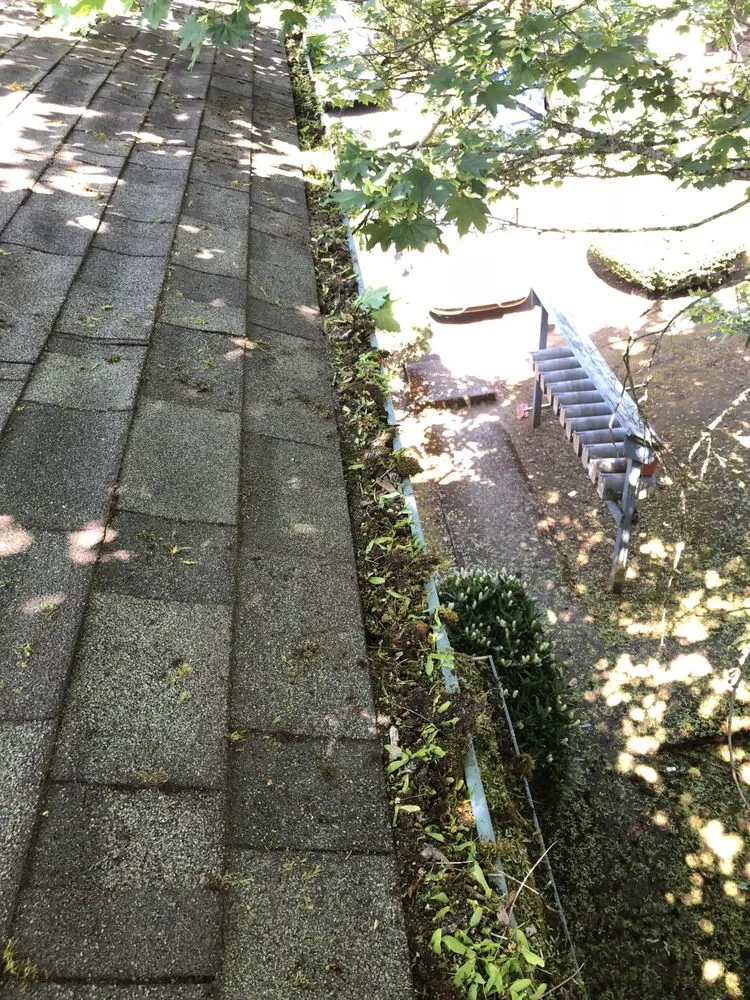 Slide of Buena Vista Roofing