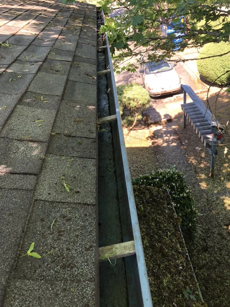 Slide of Buena Vista Roofing