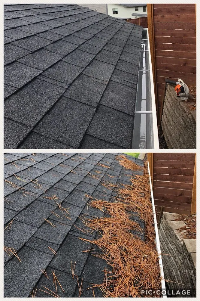 Slide of Buena Vista Roofing