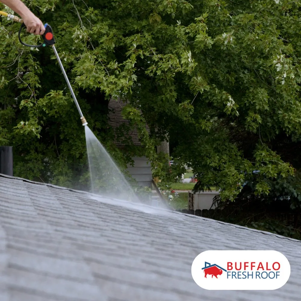 Slide of Buffalo Fresh Roof