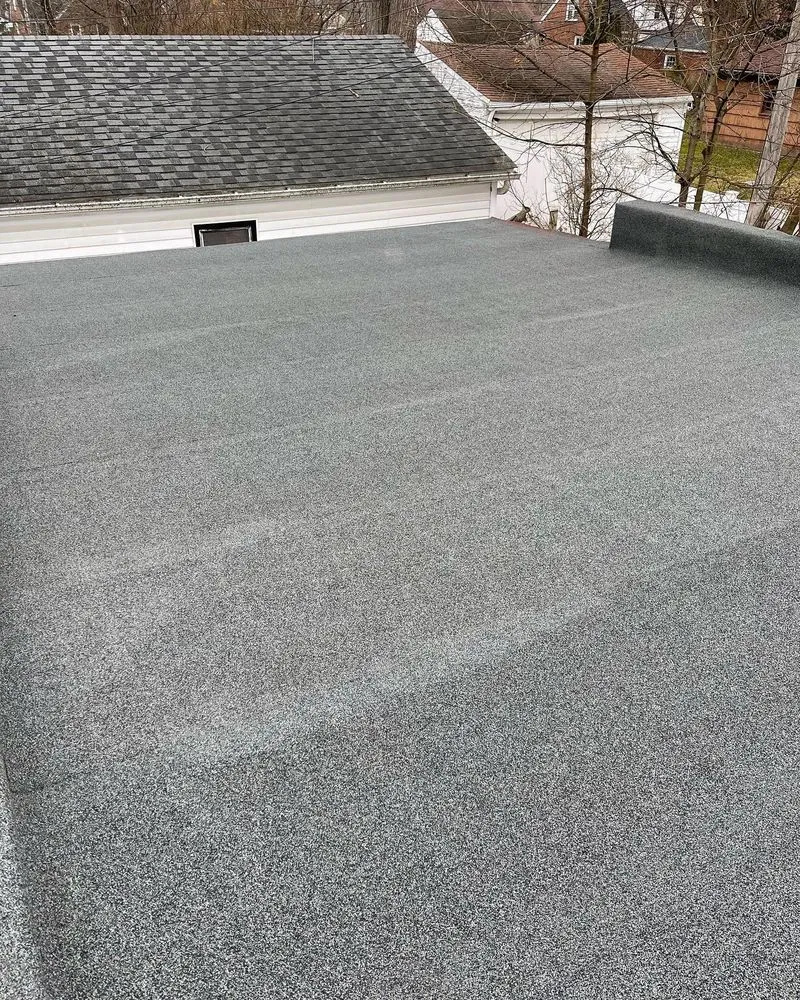 Slide of Buffalo Fresh Roof