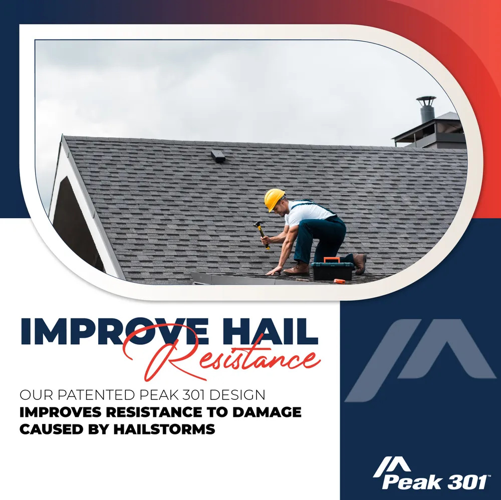 Slide of Buffalo Fresh Roof