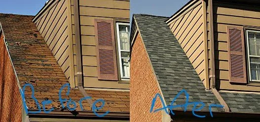 Slide of Buffalo Fresh Roof