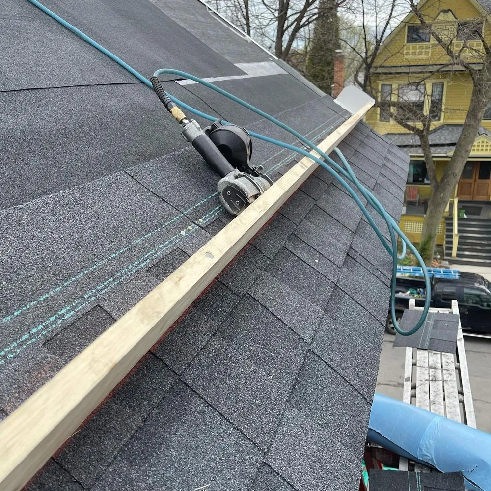 Slide of Buffalo Fresh Roof