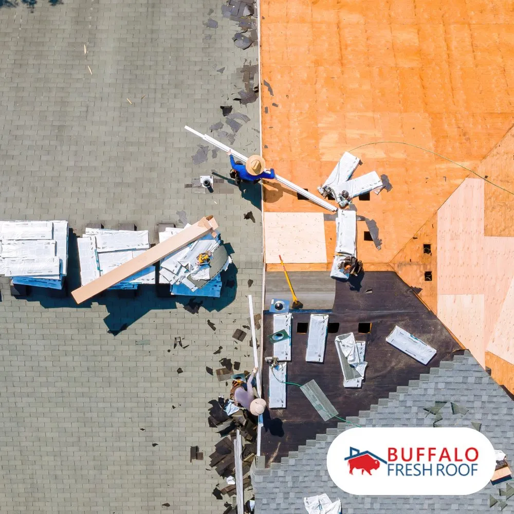 Slide of Buffalo Fresh Roof