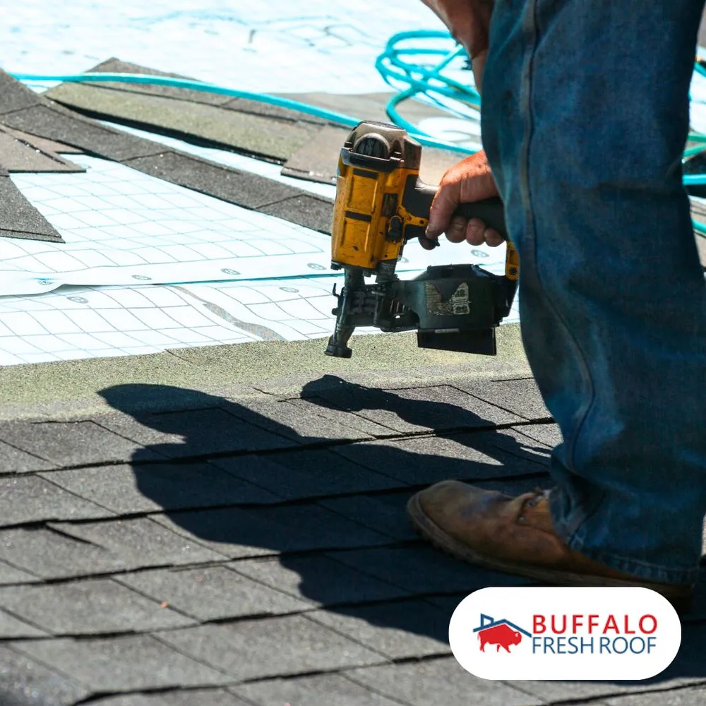 Slide of Buffalo Fresh Roof