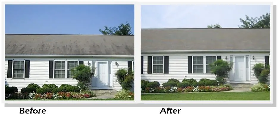 Slide of Buffalo Roof Cleaning