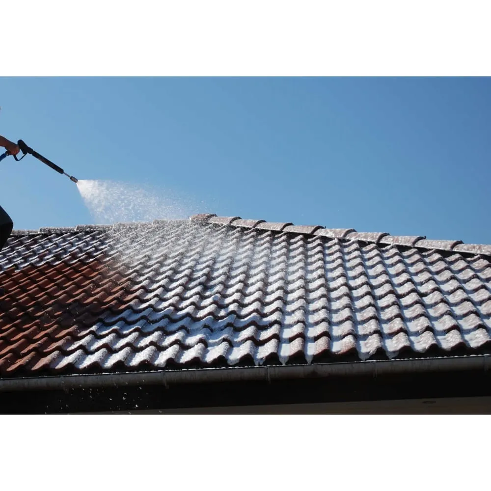 Slide of Buffalo Roof Cleaning