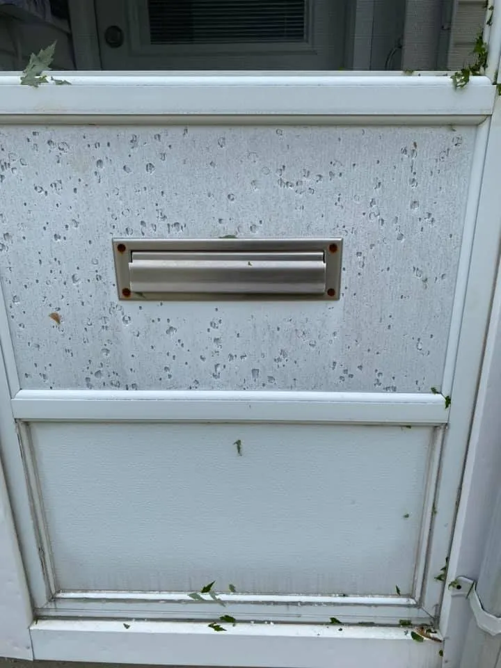 Slide of Buffalo Roofing