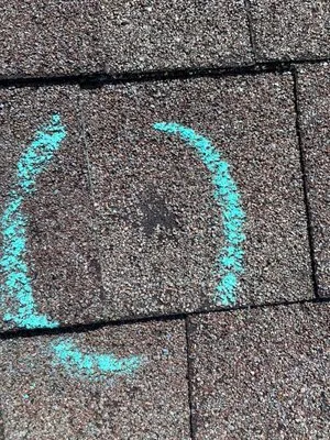 Buffalo Roofing Logo