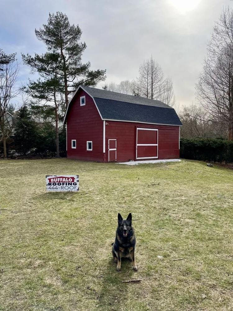 Slide of Buffalo Roofing