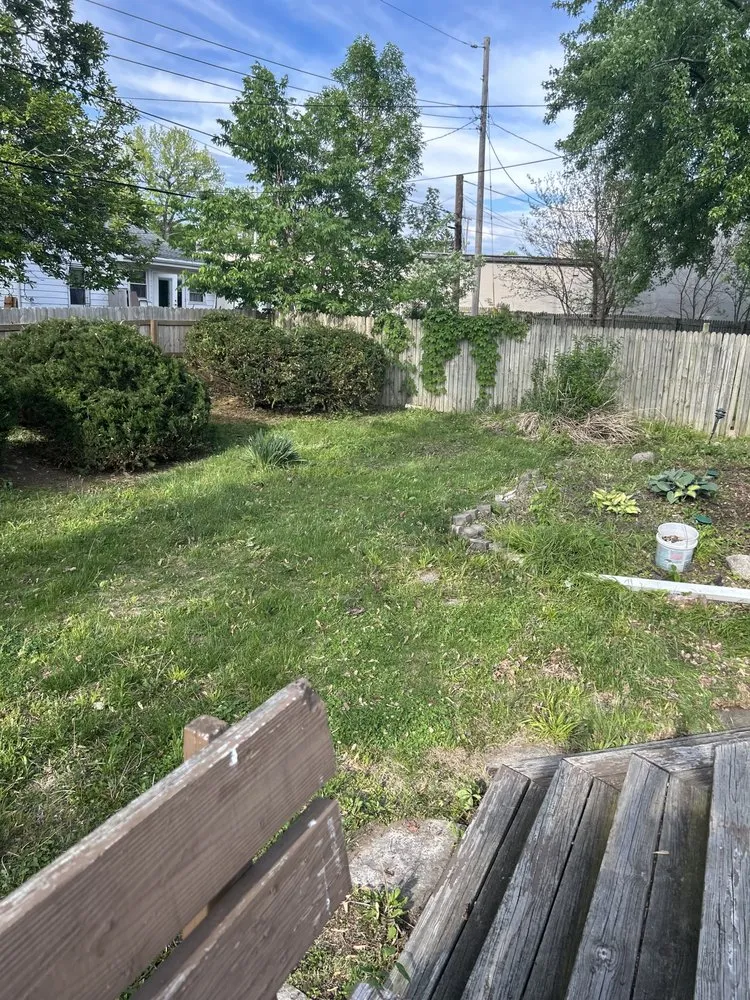 Slide of Buggs Construction