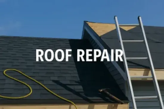 Slide of Buggs Construction