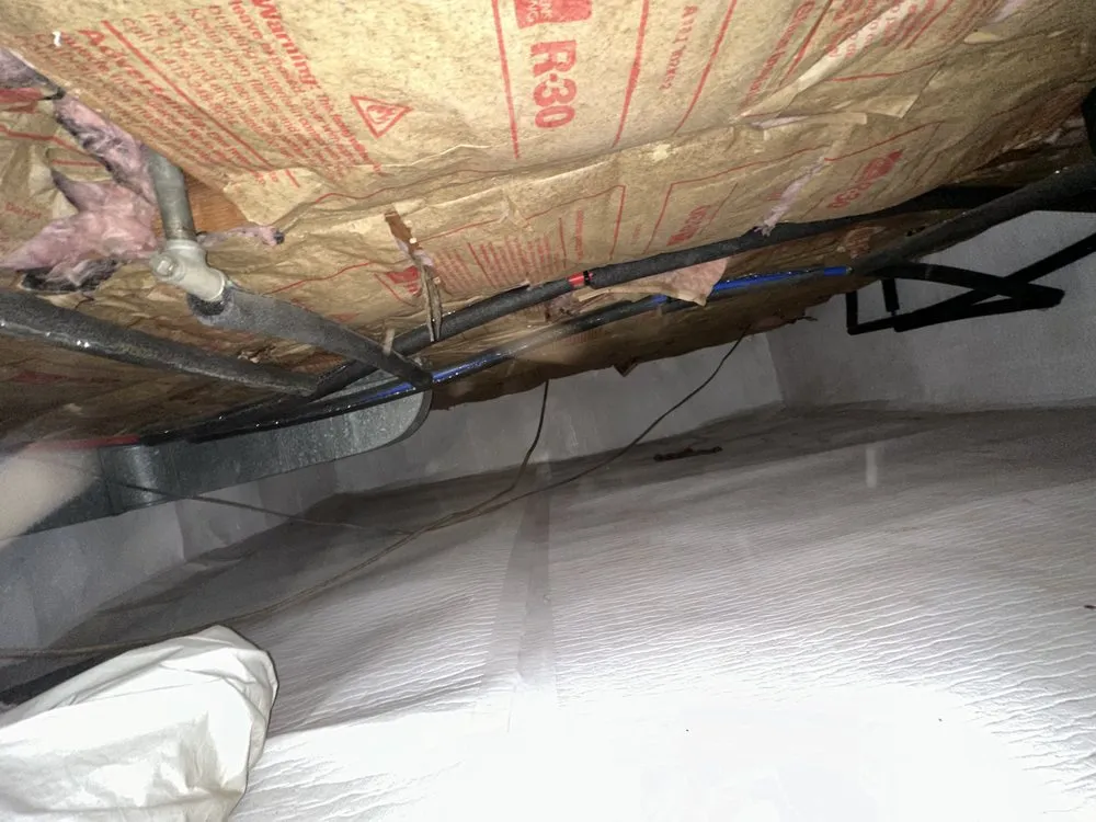 Slide of Build A Dreeam