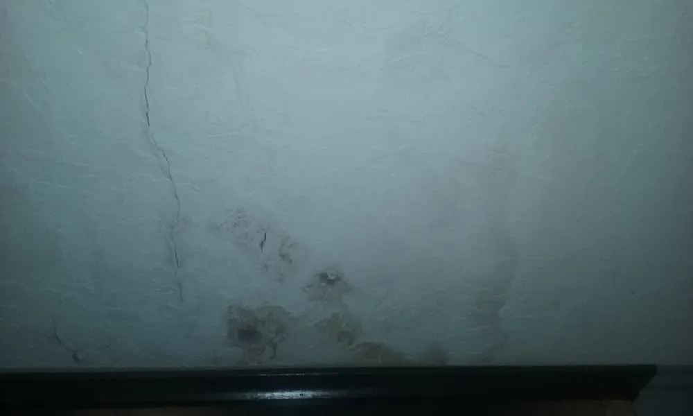 Slide of Builders Service